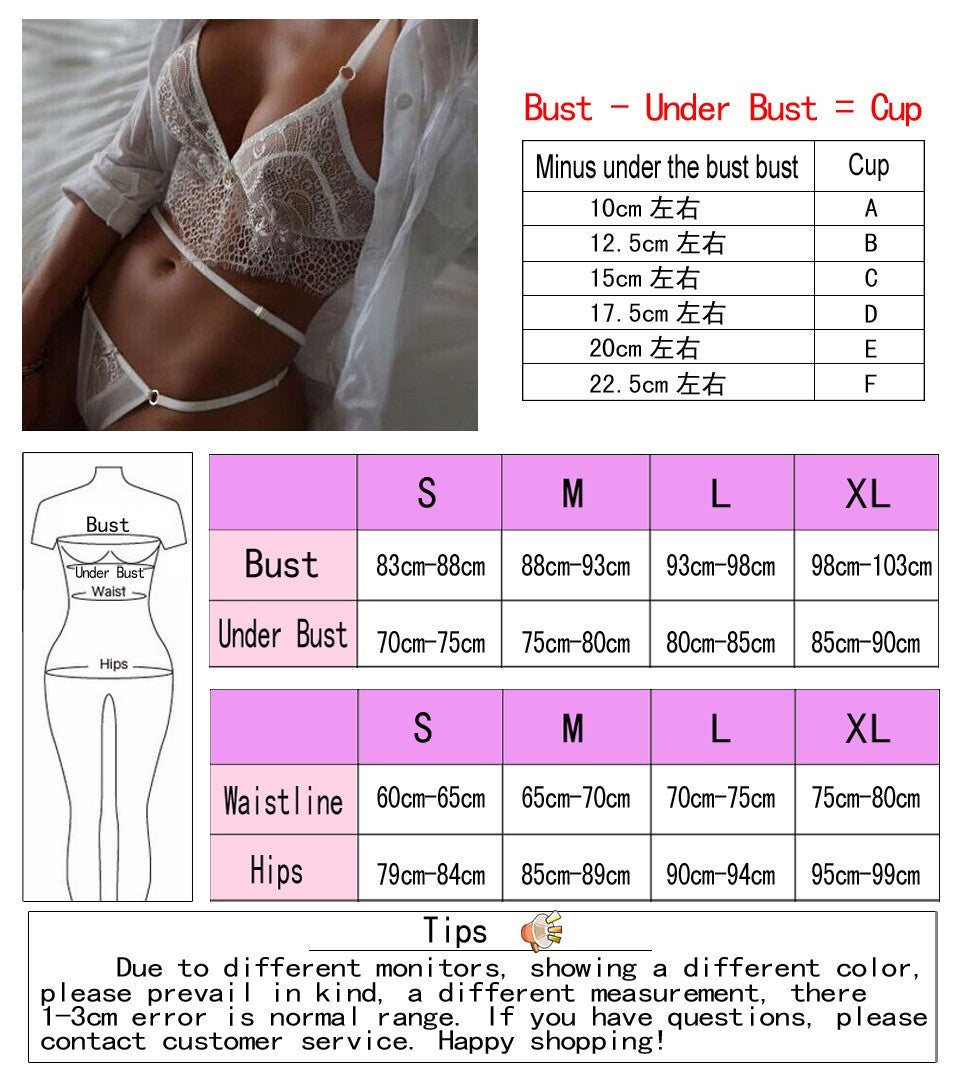 France white lace transparent bra sets women's underwear set bra and panty sexy lingerie set