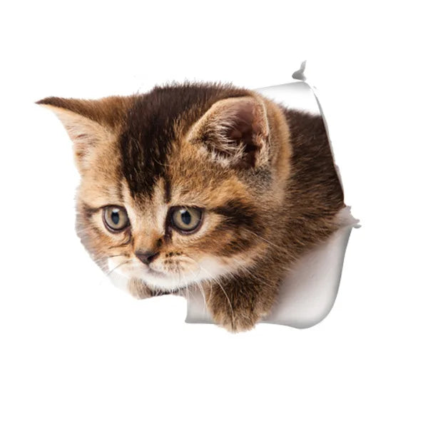 Cats 3D Wall Sticker Toilet Stickers Hole View Vivid Dogs Bathroom For Home Decoration Animals Vinyl Decals Art Wallpaper Poster-Dollar Bargains Online Shopping Australia