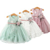 Baby Girls Dress Casual Costume Kids Dresses For Girls Flower Baby Dress Girl Party Little Princess Tutu Summer Dress