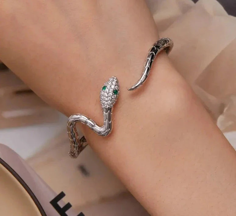 Silver Color Classical Snake Open Bangle Bracelets For Women Men Zircon Charm Bracelet Unique Jewelry Gift-Dollar Bargains Online Shopping Australia