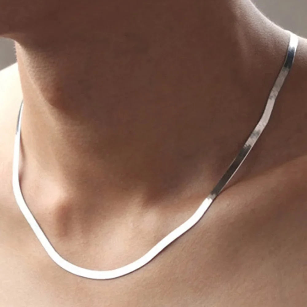 Hip Hop Snake Chain Necklace for Men New Fashion Stainless Steel Silver Color Necklace Jewelry Accessories Party Gift-Dollar Bargains Online Shopping Australia