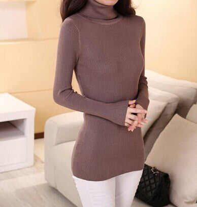 Online discount shop Australia - medium-long elastic sweater long-sleeve sweater female pullover turtleneck sweater