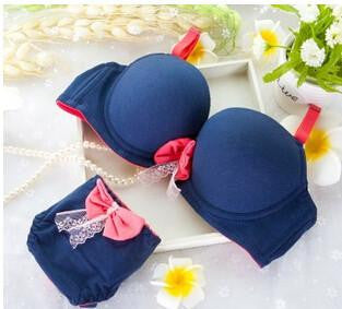 Online discount shop Australia - High quality women push up bra sets new small chest students lovely girl underwear sets sweet girls gather cotton bra set